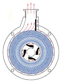 176516-1.jpg